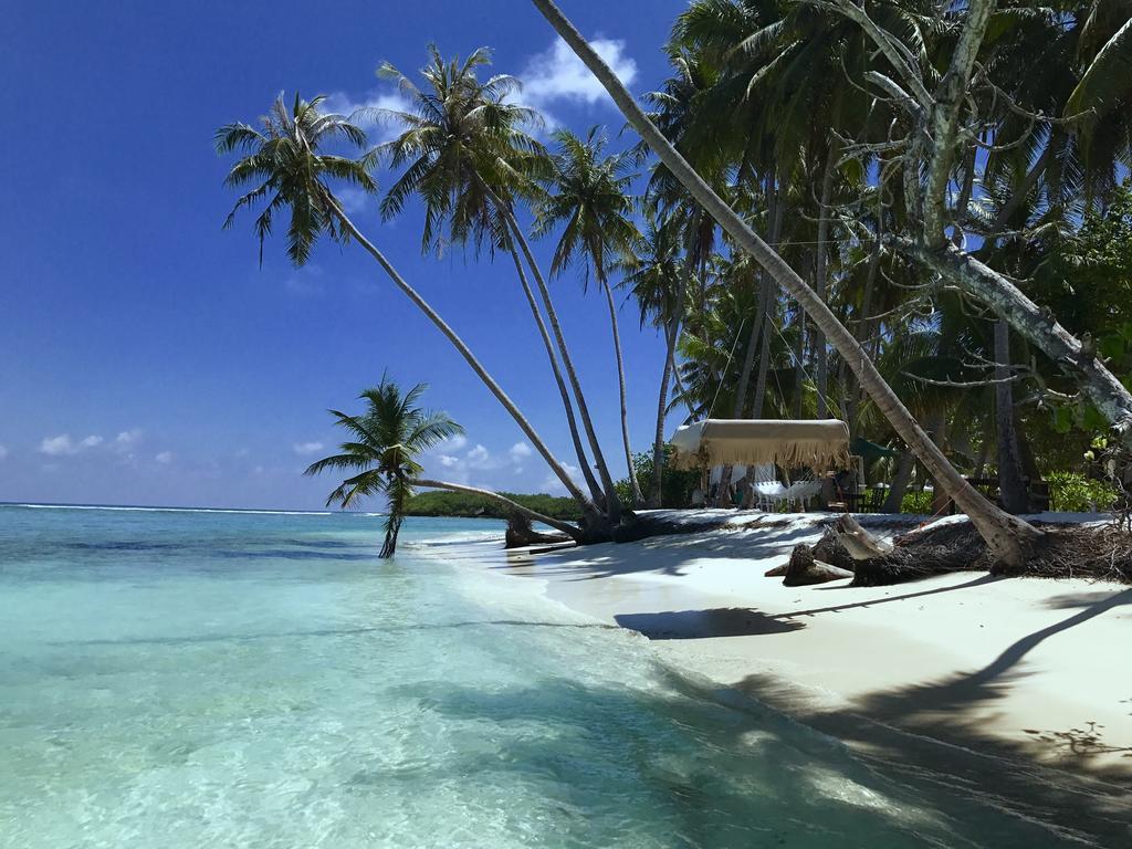 Samura Maldives Guest House טלאוסדו מראה חיצוני תמונה